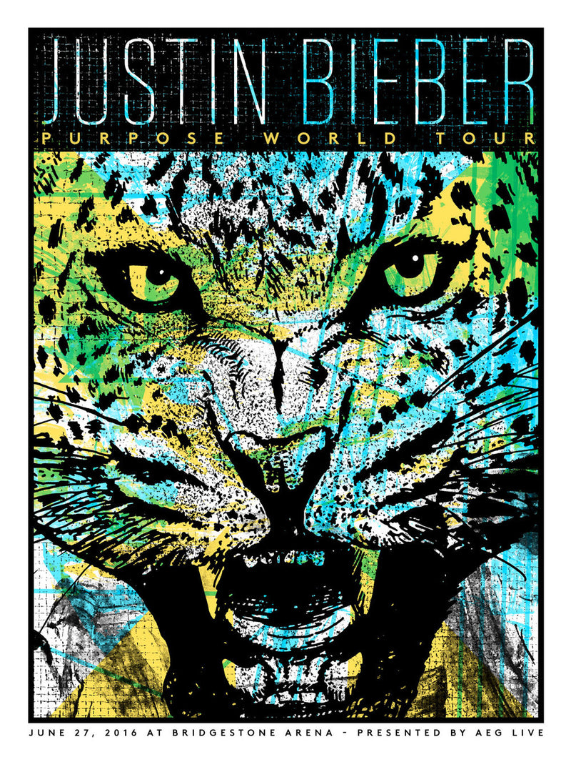 Justin Bieber - Bridgestone Arena (6/27/16) – Friendly Arctic